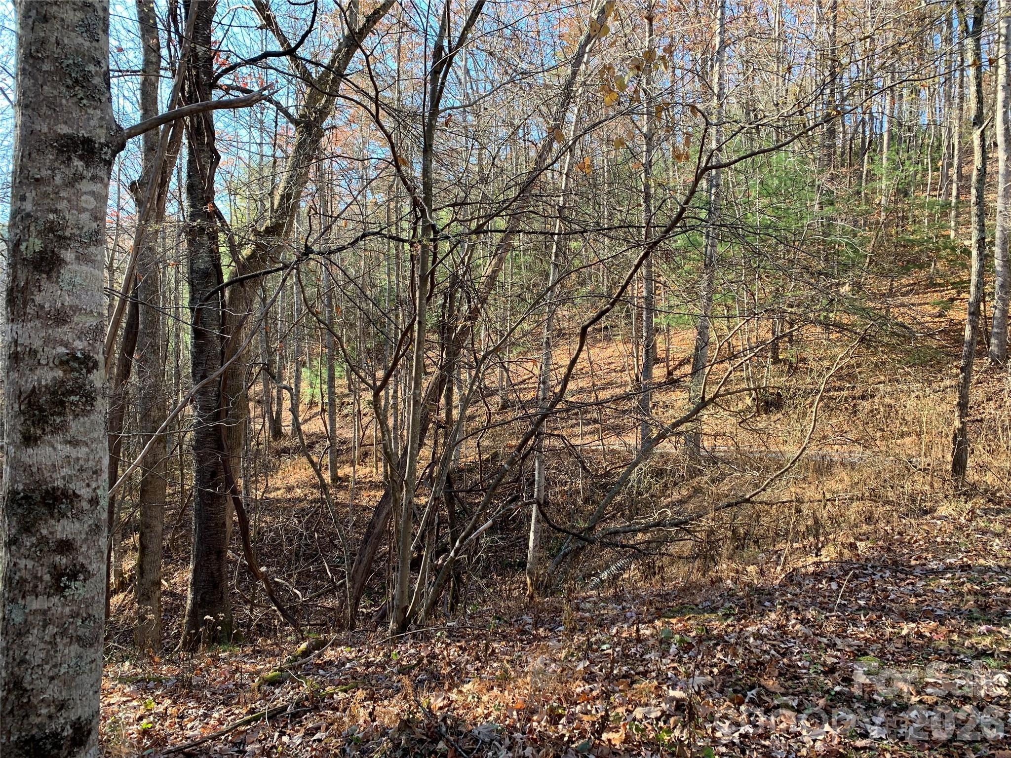 1 Dugger Firetower Road, Unit 1 Lenoir, NC 28645 - Photo 8 of 13 a view of a yard