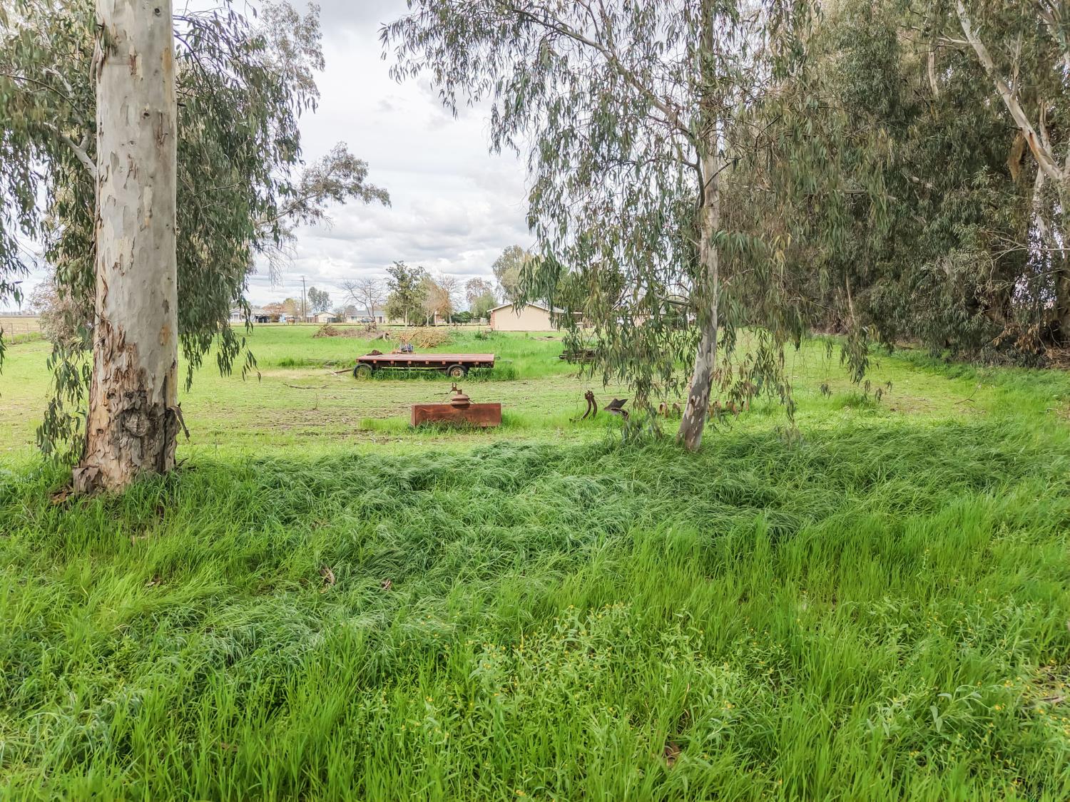 16036 South Del Rey Avenue Kingsburg, CA 93631 - Photo 61 of 64