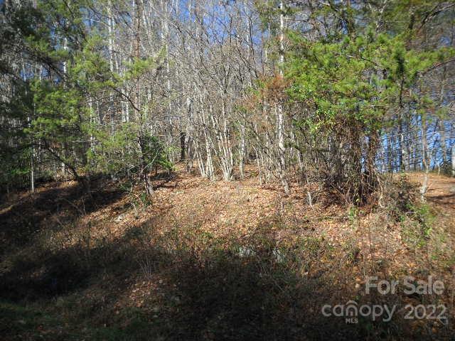 Tbn Nora McGee Road Boomer, NC 28606 - Photo 2 of 6 a view of outdoor space and trees