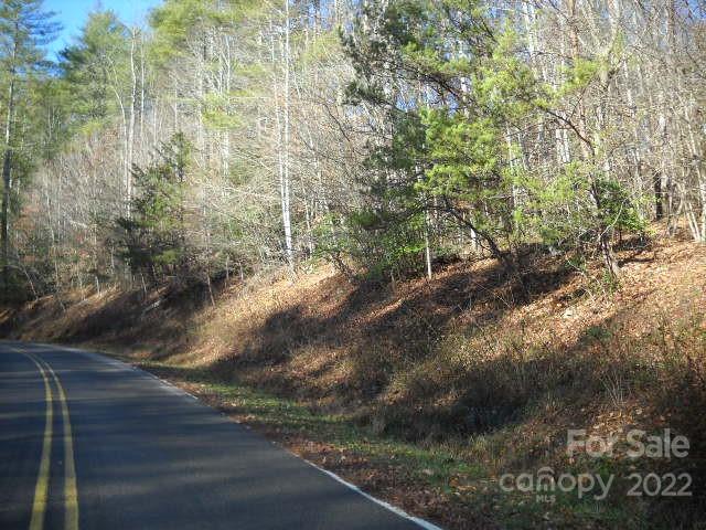 Tbn Nora McGee Road Boomer, NC 28606 - Photo 3 of 6 a view of a yard