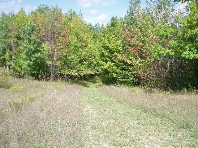 Valleyview Ridge Manistee, MI 49660 - Photo 14 of 16 Additional Photo