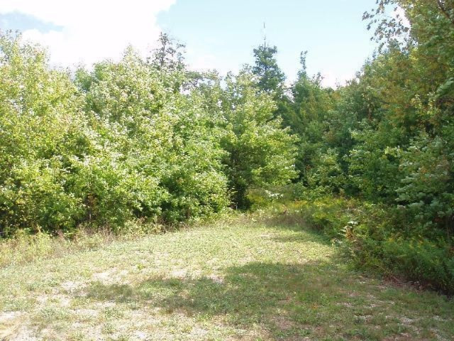 Valleyview Ridge Manistee, MI 49660 - Photo 5 of 16 Additional Photo