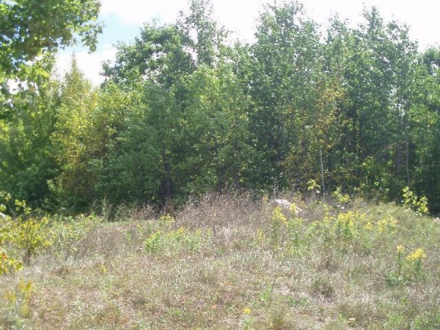 Valleyview Ridge Manistee, MI 49660 - Photo 7 of 16 Additional Photo