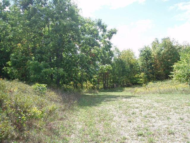Valleyview Ridge Manistee, MI 49660 - Photo 9 of 16 Additional Photo