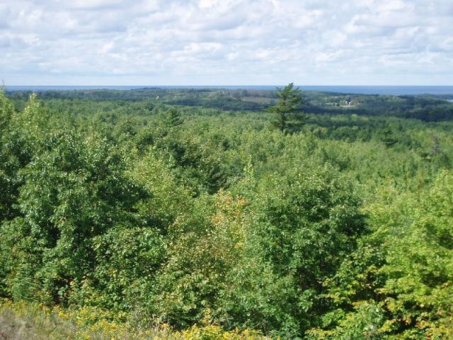 Valleyview Ridge Manistee, MI 49660 - Photo 10 of 16 Additional Photo