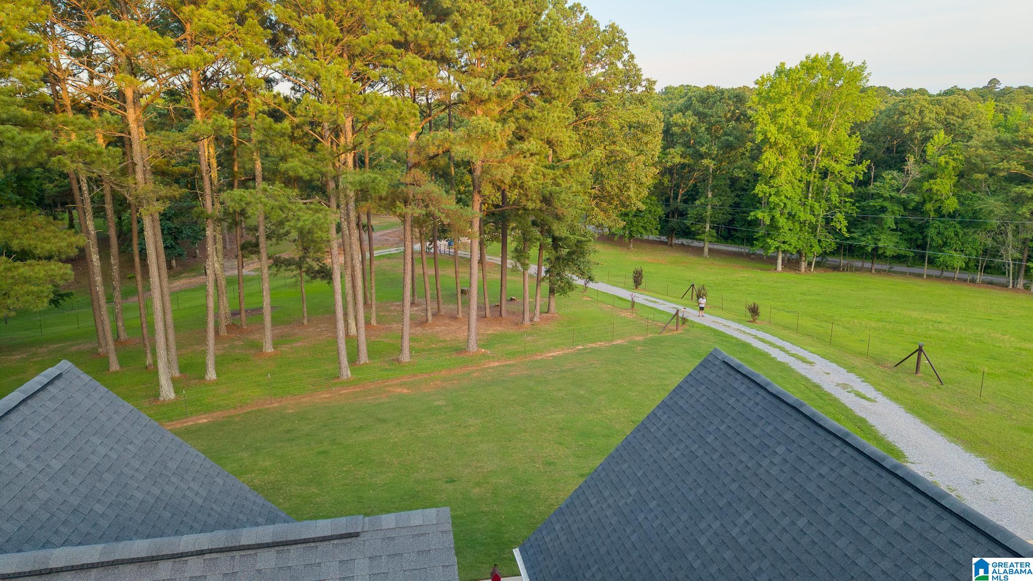 271 Little Pond Road Pell City, AL 35128 - Photo 75 of 86