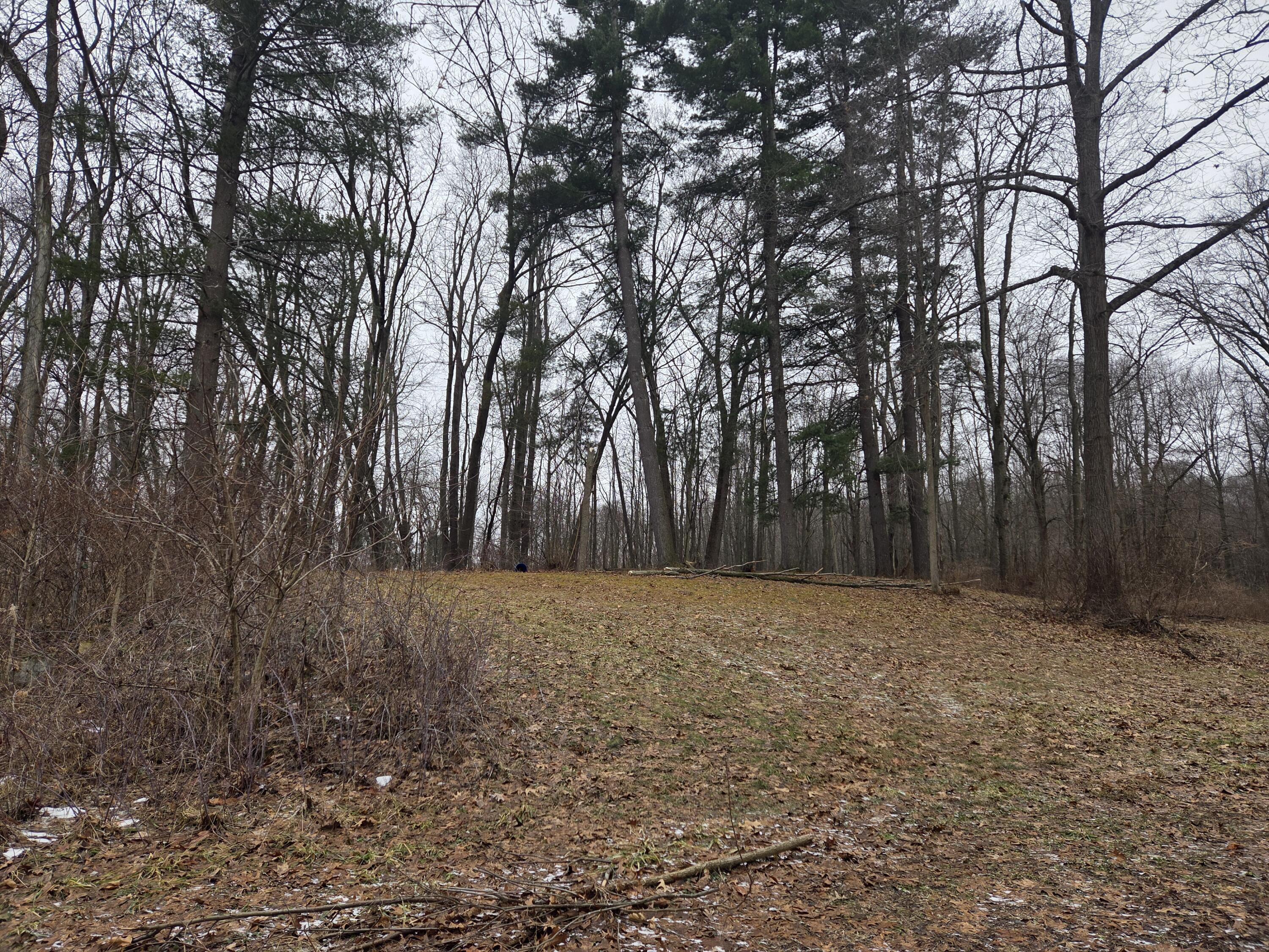 3990 Wellman Road Parma, MI 49269 - Photo 3 of 39 20260221_114957