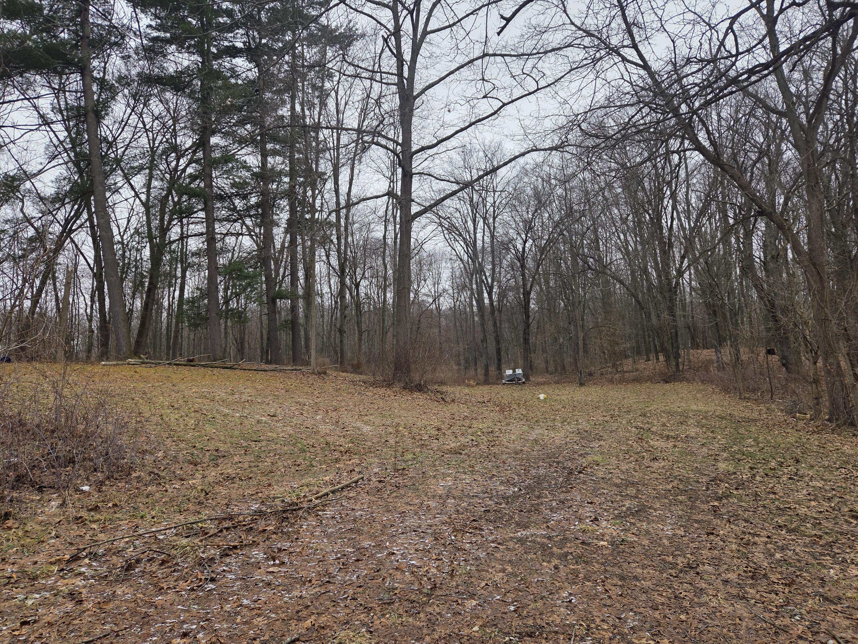 3990 Wellman Road Parma, MI 49269 - Photo 4 of 39 20260221_114946