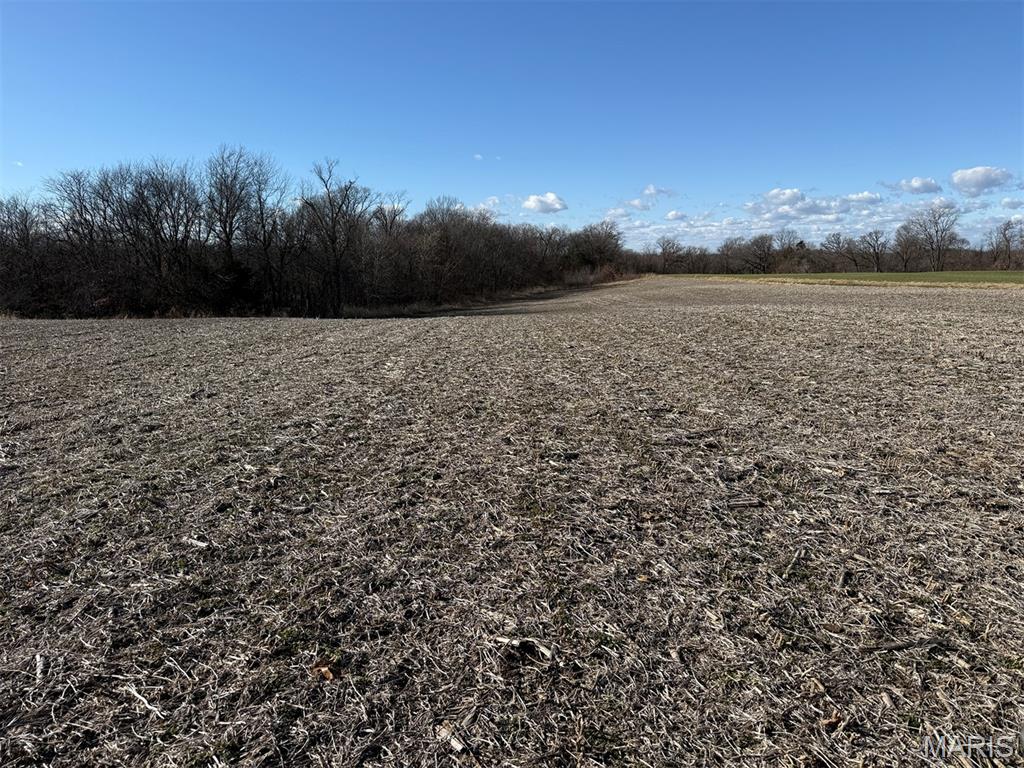 0 Ghost Holler Road Pilot Grove, MO 65276 - Photo 11 of 20