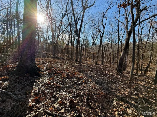 $231,000 | 0 Ghost Holler Road, Pilot Grove, MO 65276