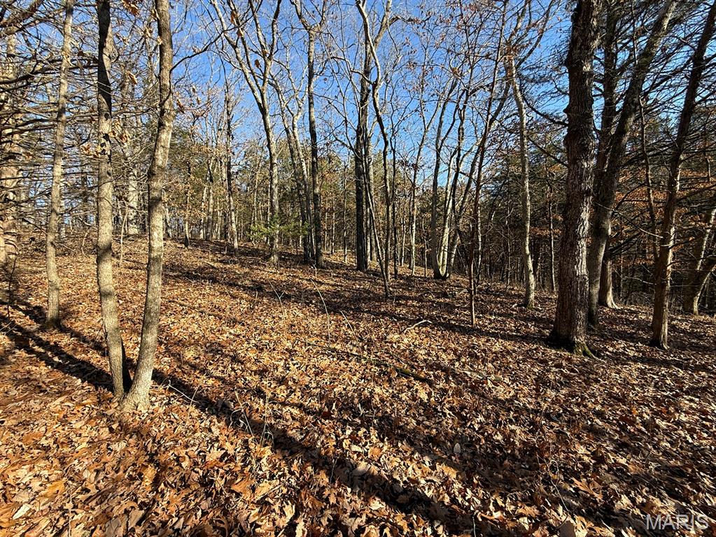 0 Ghost Holler Road Pilot Grove, MO 65276 - Photo 13 of 20