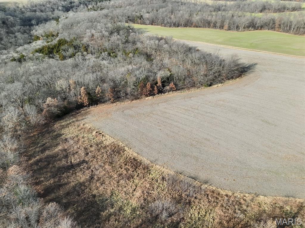 0 Ghost Holler Road Pilot Grove, MO 65276 - Photo 14 of 20