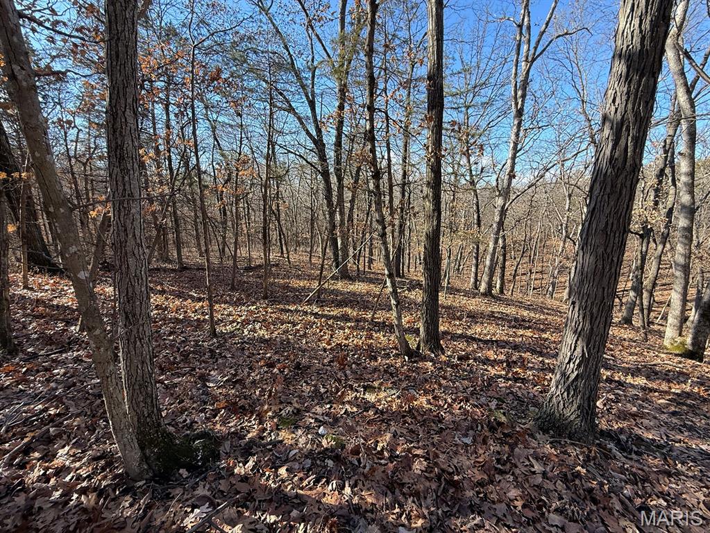 0 Ghost Holler Road Pilot Grove, MO 65276 - Photo 4 of 20