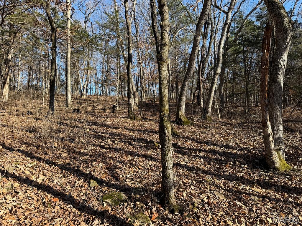 0 Ghost Holler Road Pilot Grove, MO 65276 - Photo 5 of 20