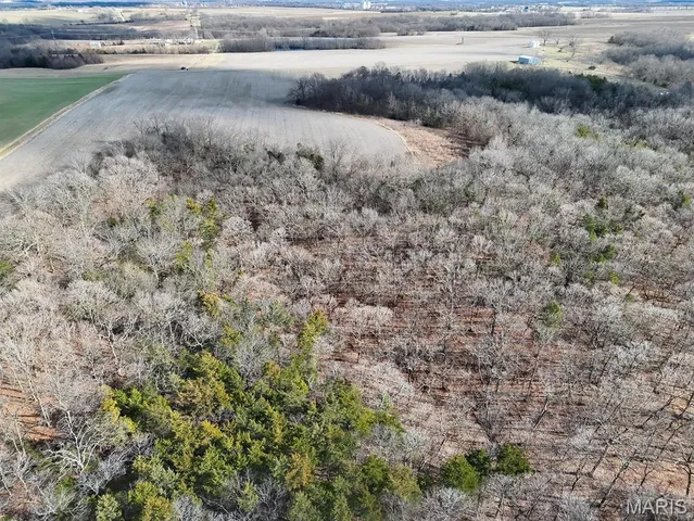 $231,000 | 0 Ghost Holler Road, Pilot Grove, MO 65276