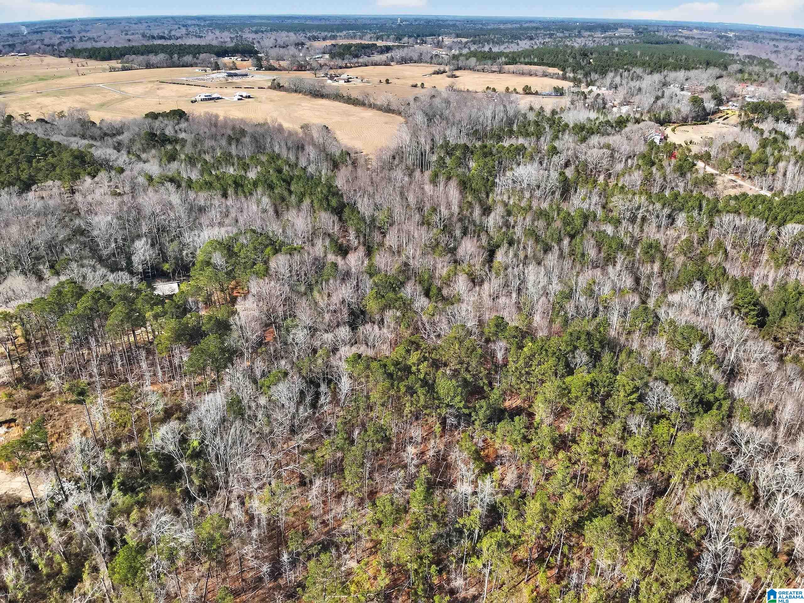 295 County Road 270 Clanton, AL 35045 - Photo 34 of 38