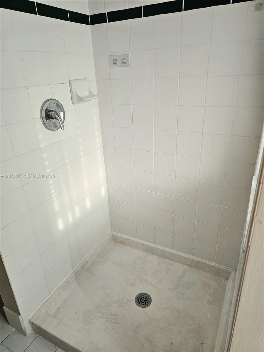 3860 Tree Top Road Cooper City, FL 33026 - Photo 12 of 29 Masters shower