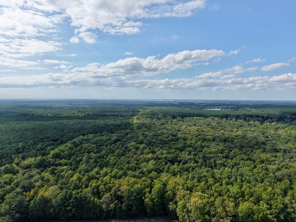 1-8 Gray Farm Road, Unit 18 Temperanceville, VA 23442 - Photo 9 of 28