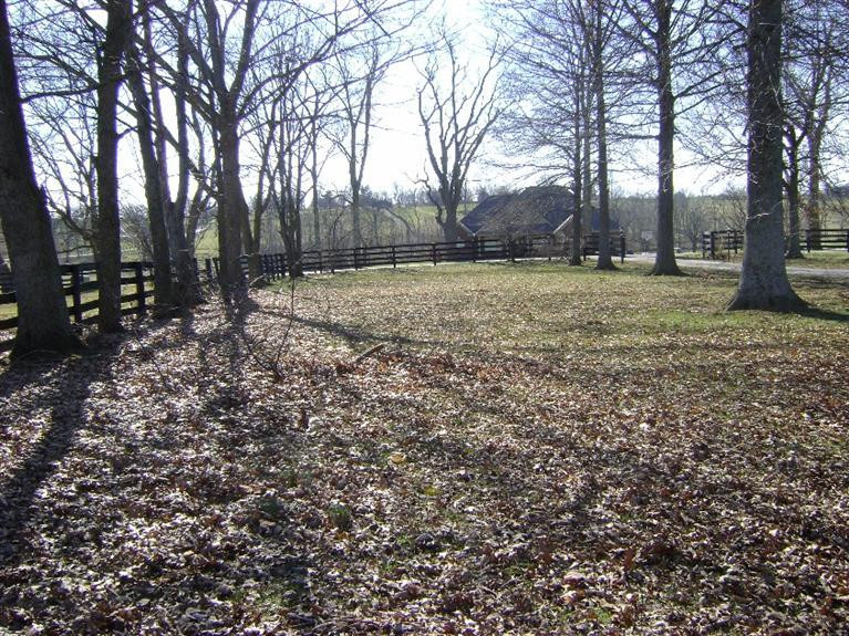 555 Tarr Road Paris, KY 40361 - Photo 24 of 36 Front Yard View Tree Lined Circular Driv