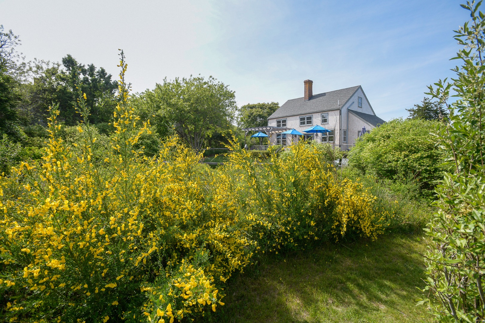 198 Hummock Pond Road Nantucket, MA 02554 - Photo 11 of 52 Gallery Image 11