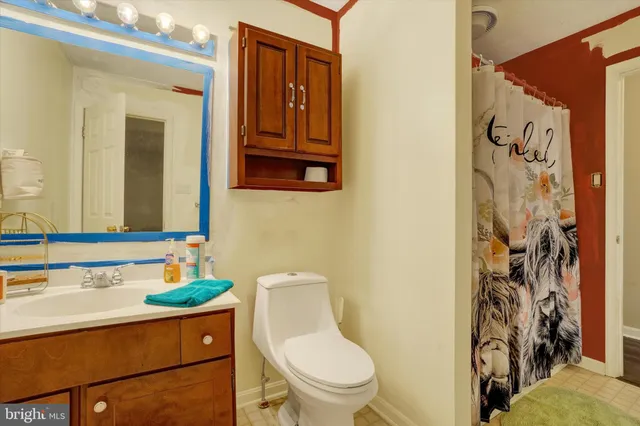 a bathroom with a sink a toilet and shower curtain