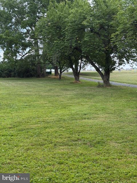 32 Gernants Church Road Leesport, PA 19533 - Photo 6 of 11
