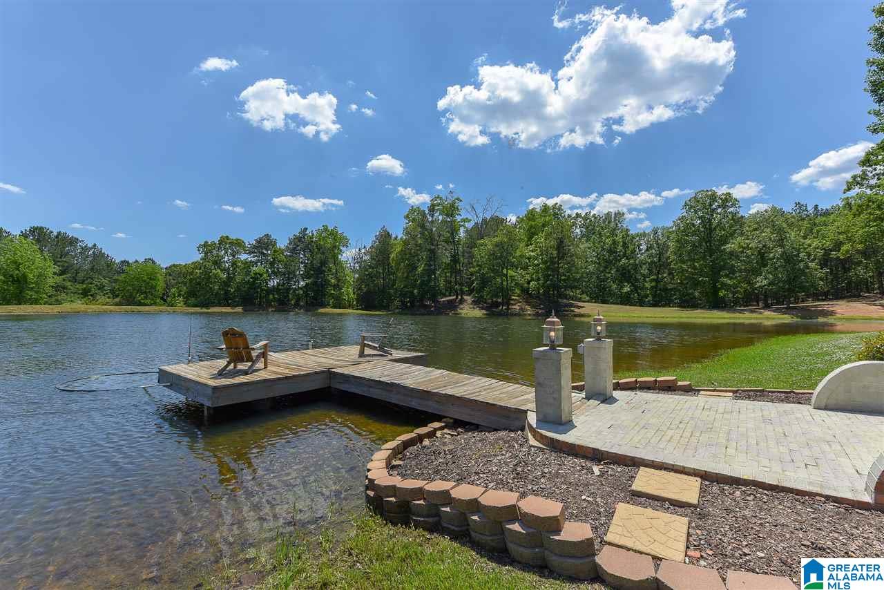 8461 Serene Lake Road McCalla, AL 35111 - Photo 4 of 50