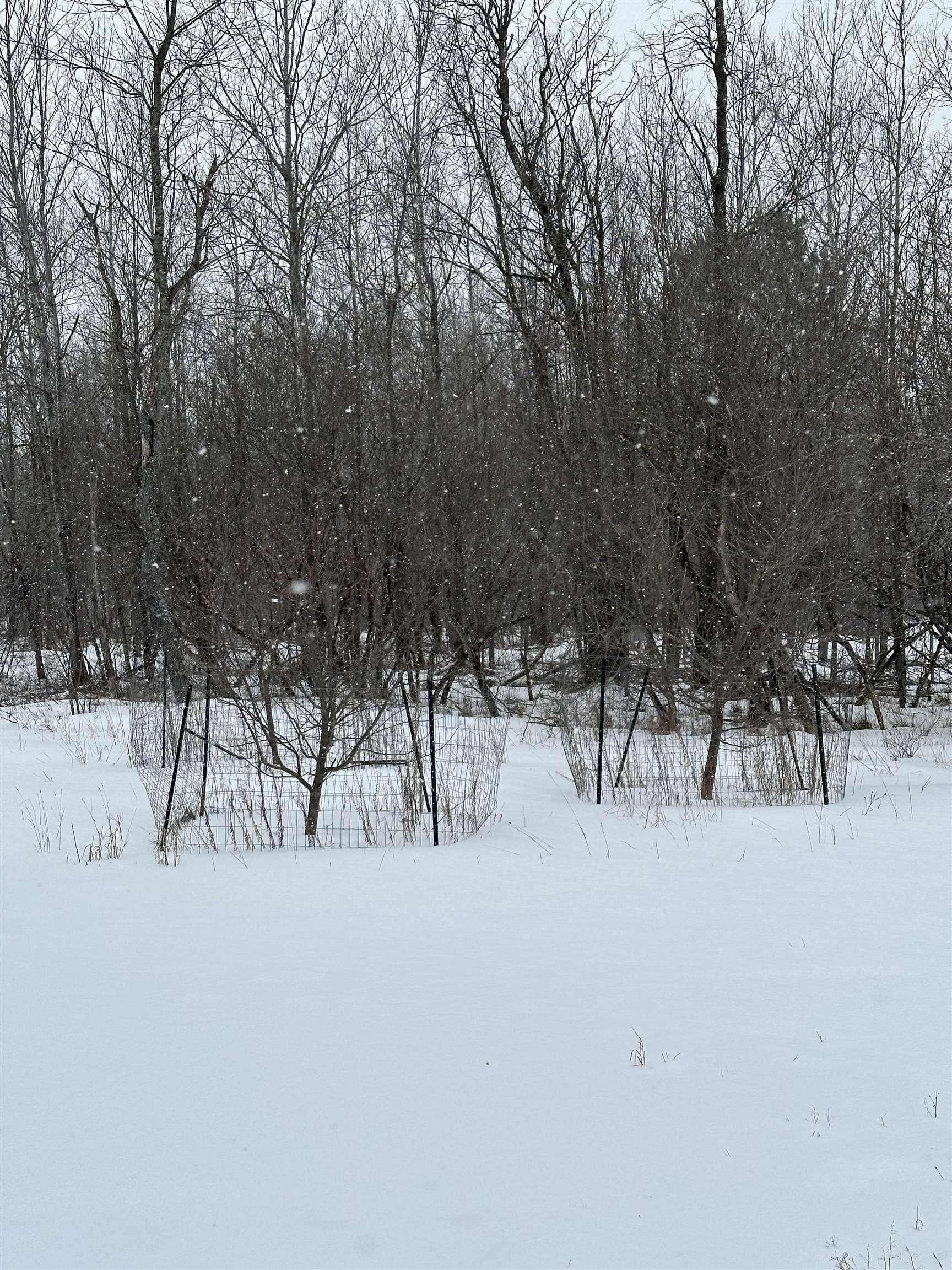 11957 4 Point Road Fife Lake, MI 49633 - Photo 36 of 52 1908765-35.JPG