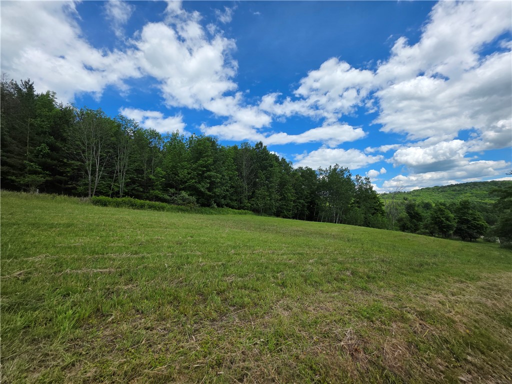 2797 Gunn Road Troupsburg, NY 14885 - Photo 35 of 50