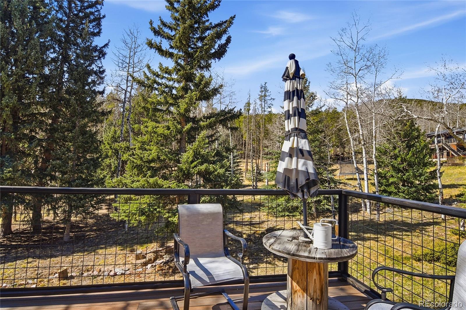 34978 Forest Estates Road Evergreen, CO 80439 - Photo 28 of 50