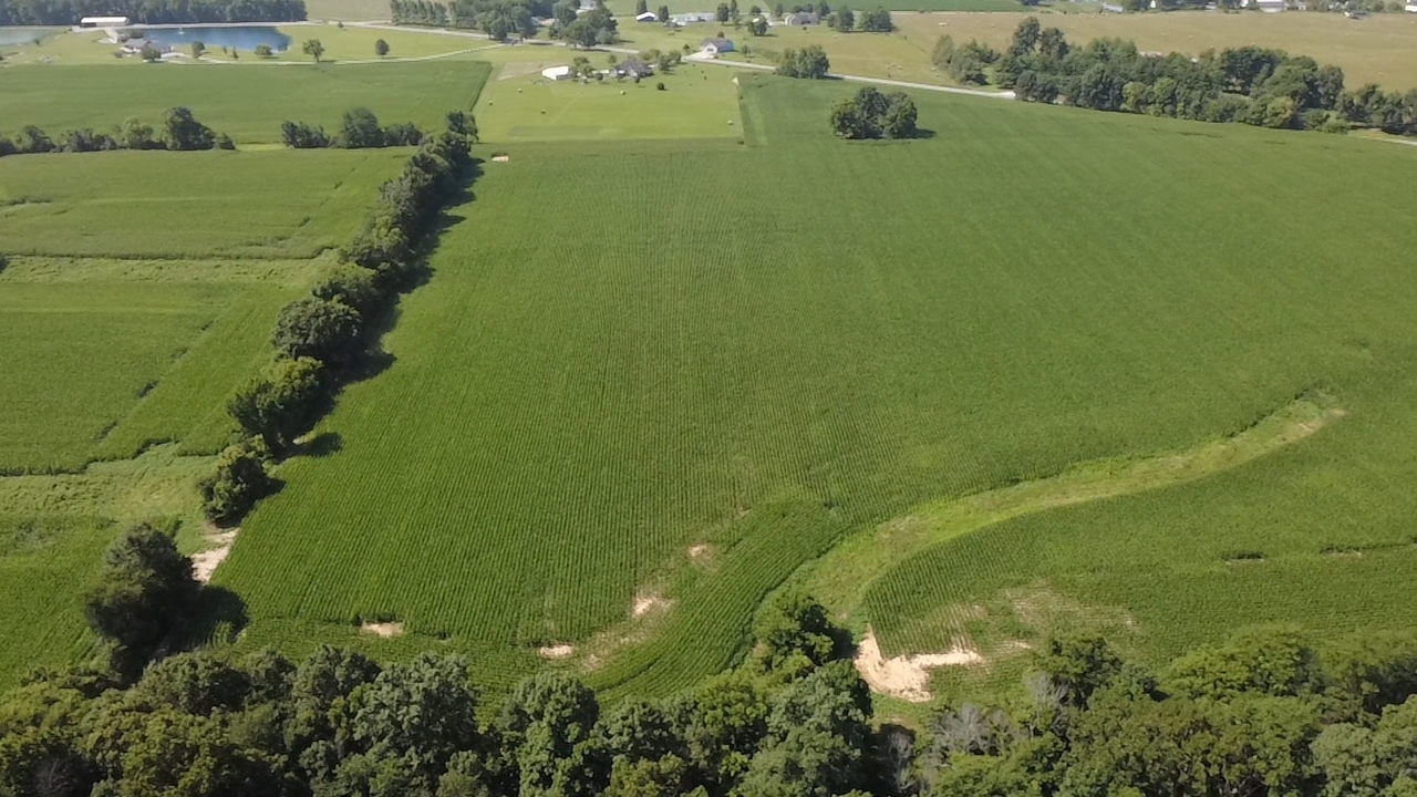 0 East Richview Road Mount Vernon, IL 62864 - Photo 3 of 7