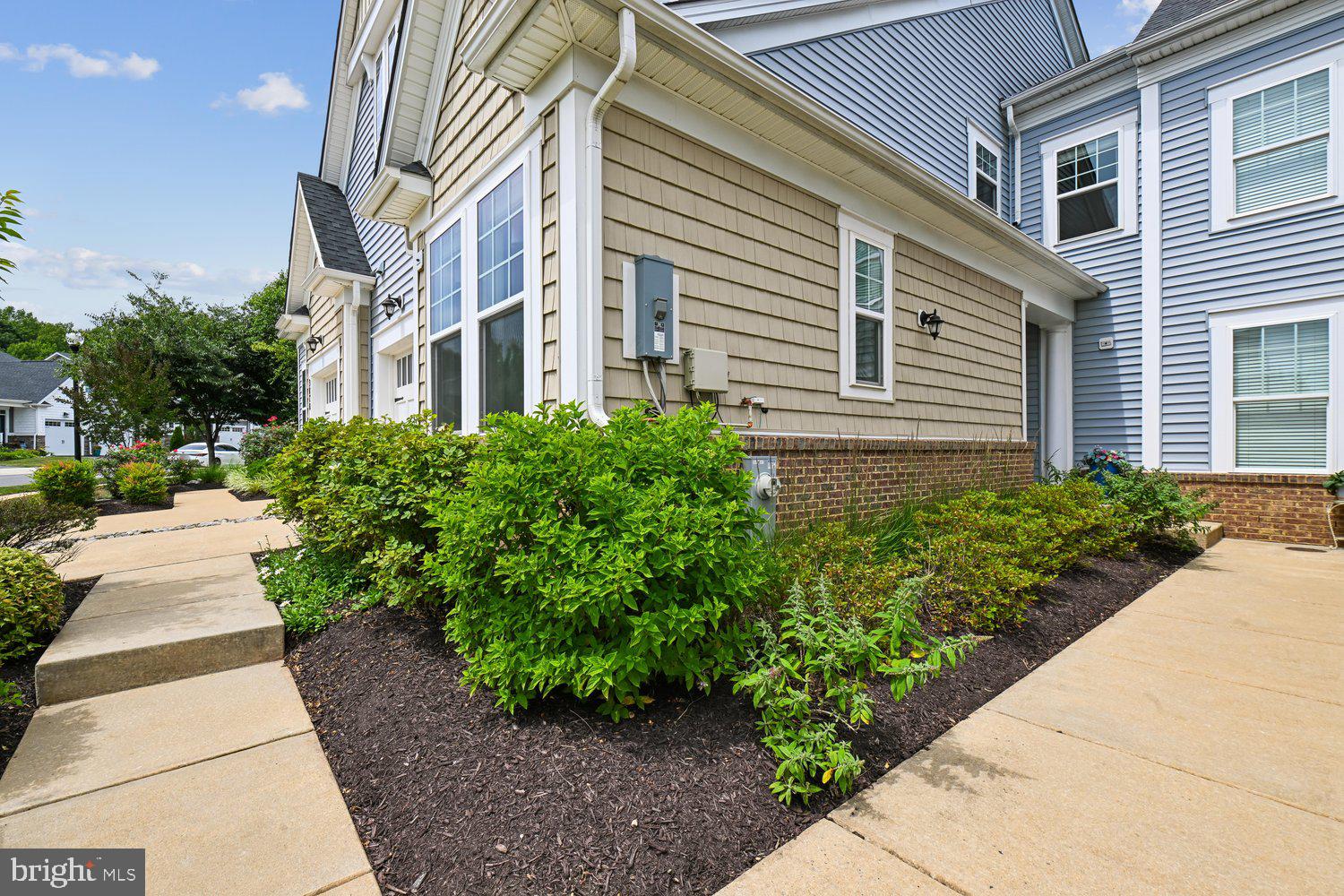 3068 Spring Peeper Court Odenton, MD 21113 - Photo 23 of 42 a view of a yard with plants