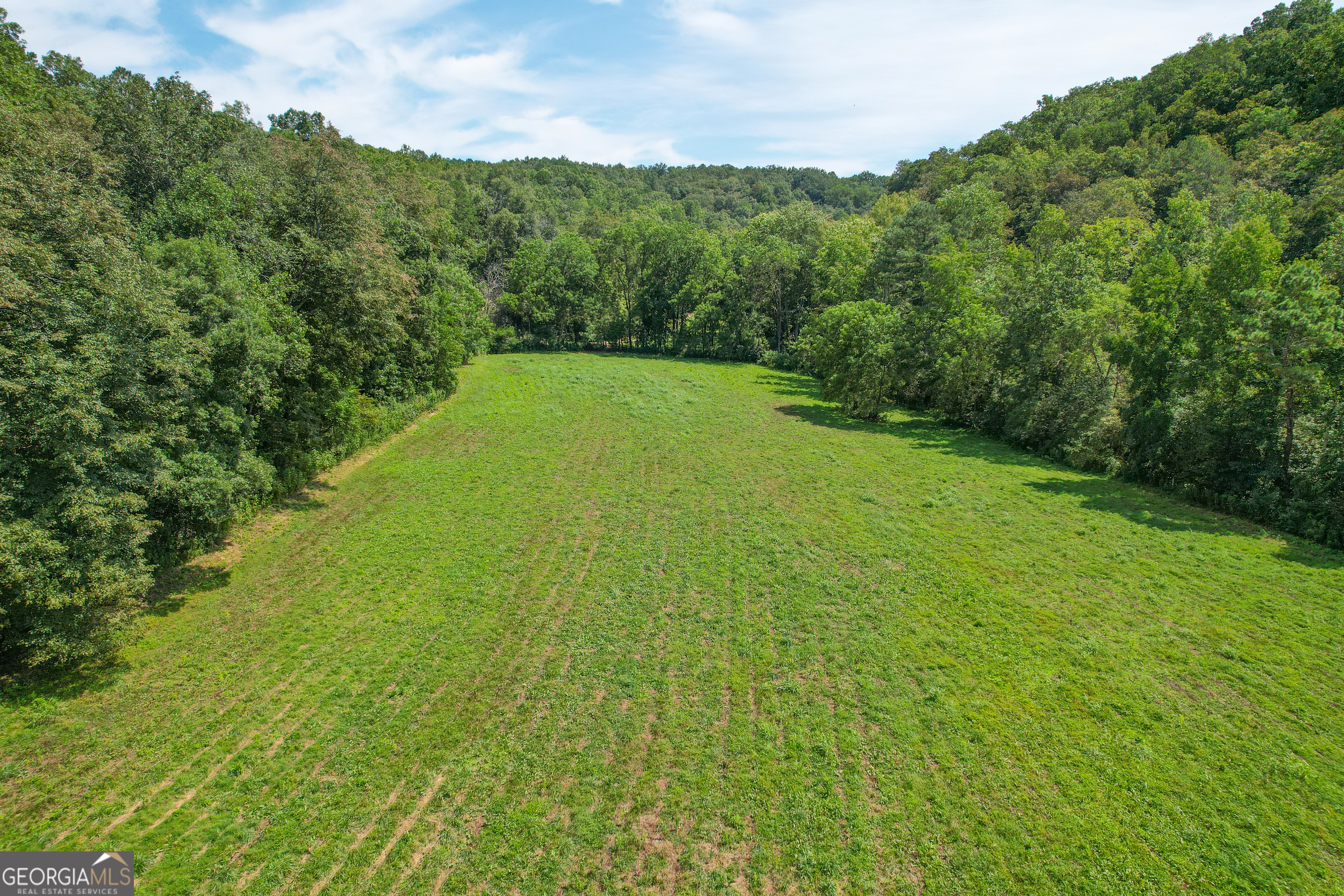 100 Acres On Rambling Road Fairmount, GA 30139 - Photo 30 of 50