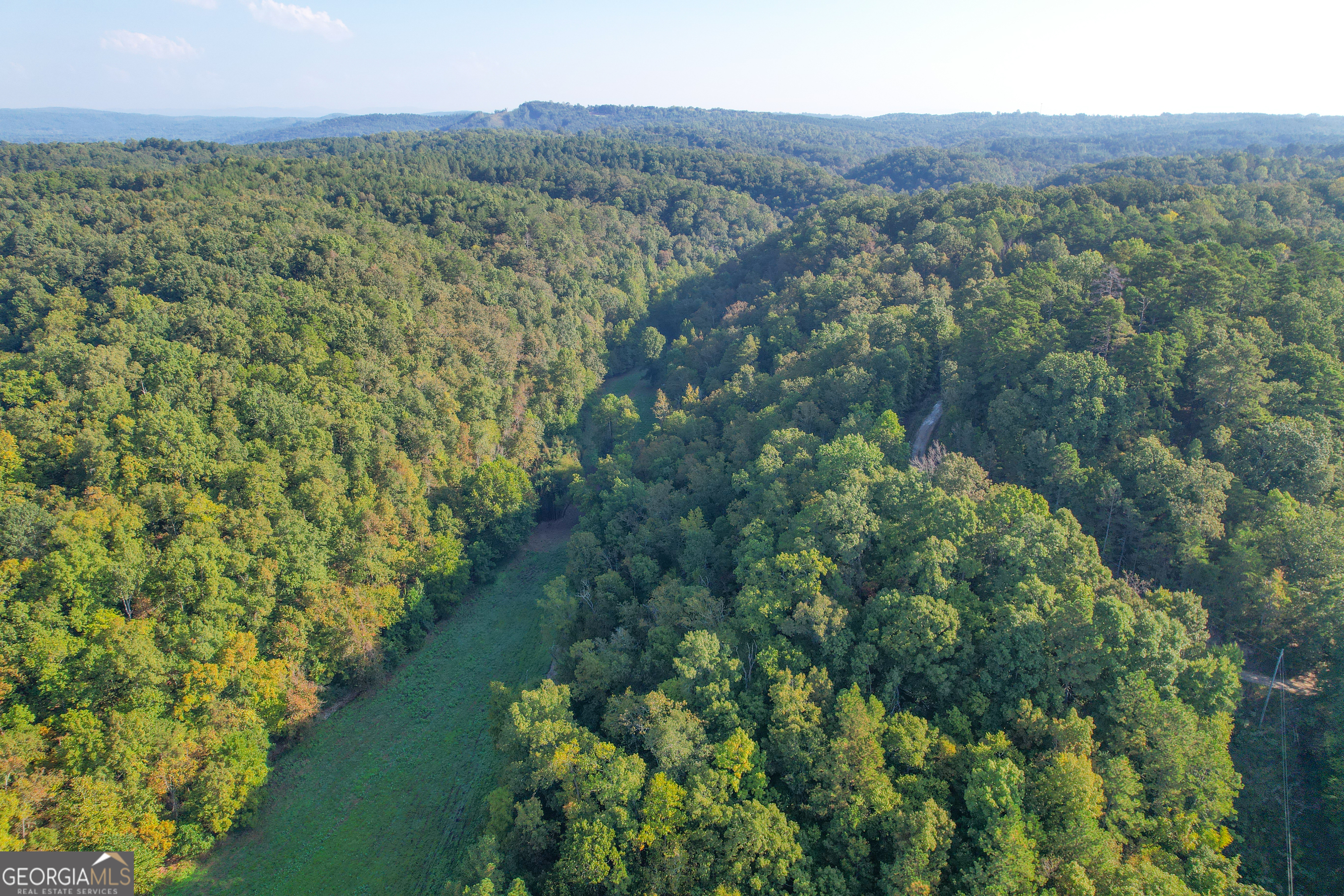 183 Acres On Rambling Road Fairmount, GA 30139 - Photo 30 of 52