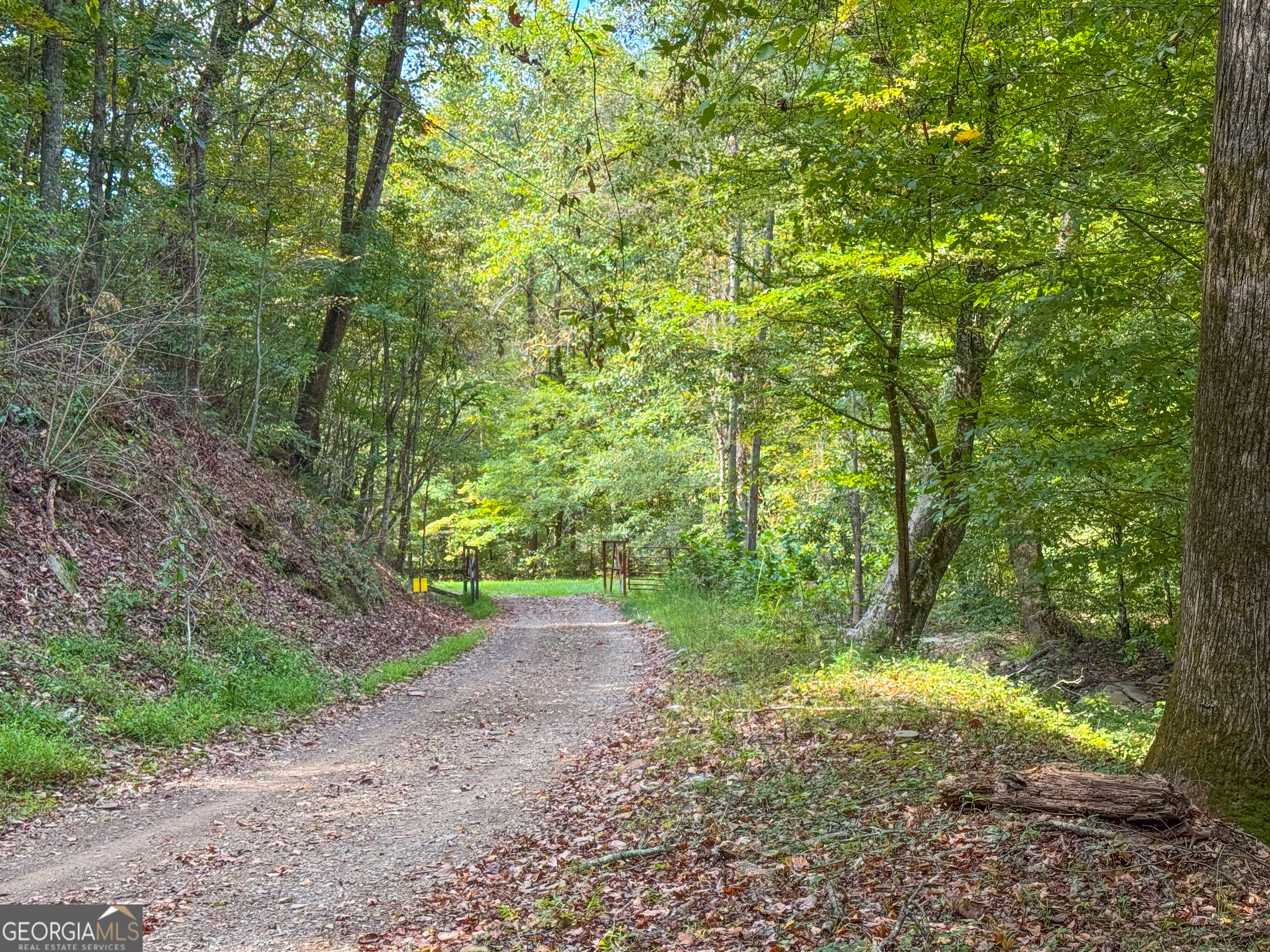 183 Acres On Rambling Road Fairmount, GA 30139 - Photo 39 of 52