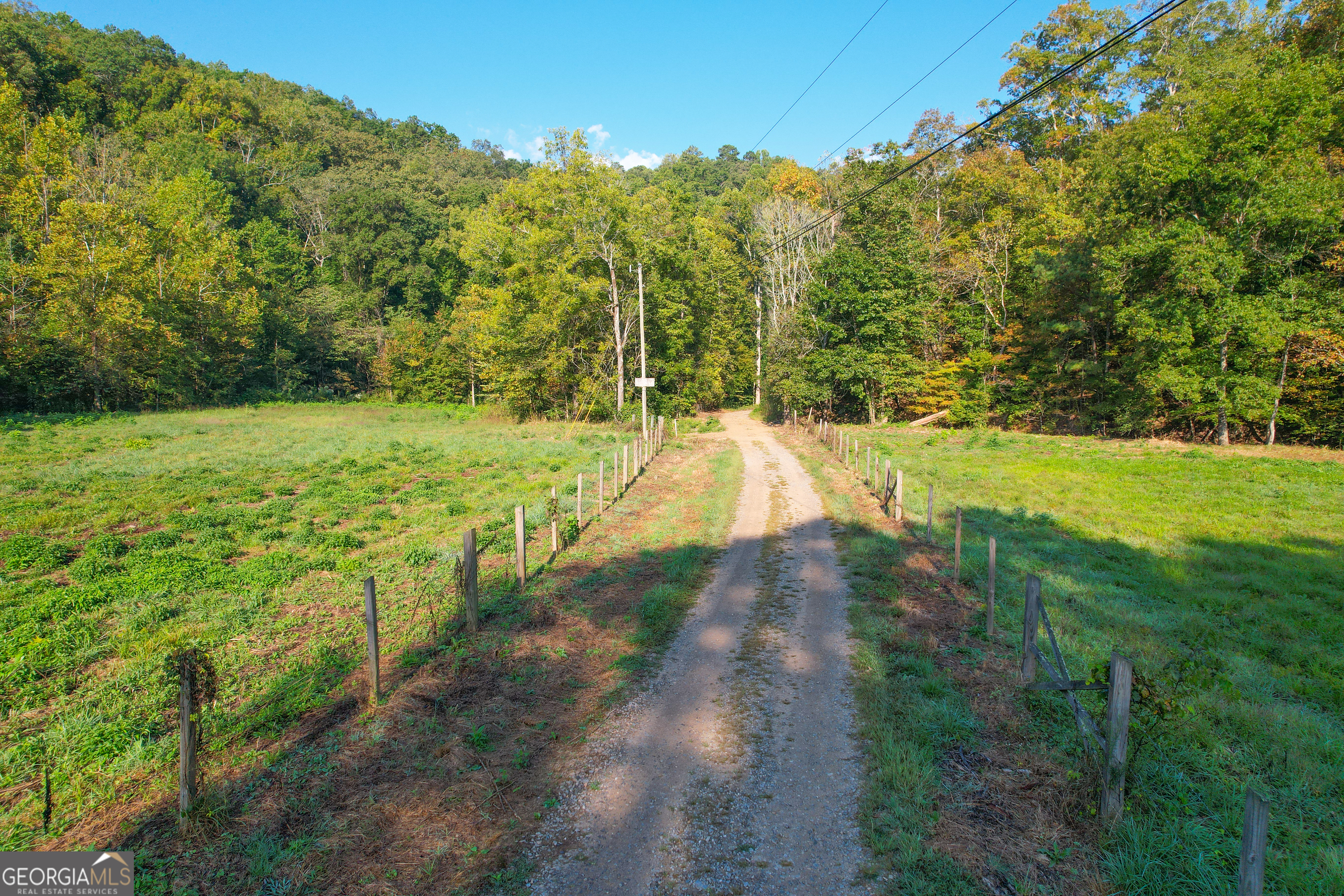 100 Acres On Rambling Road Fairmount, GA 30139 - Photo 39 of 50