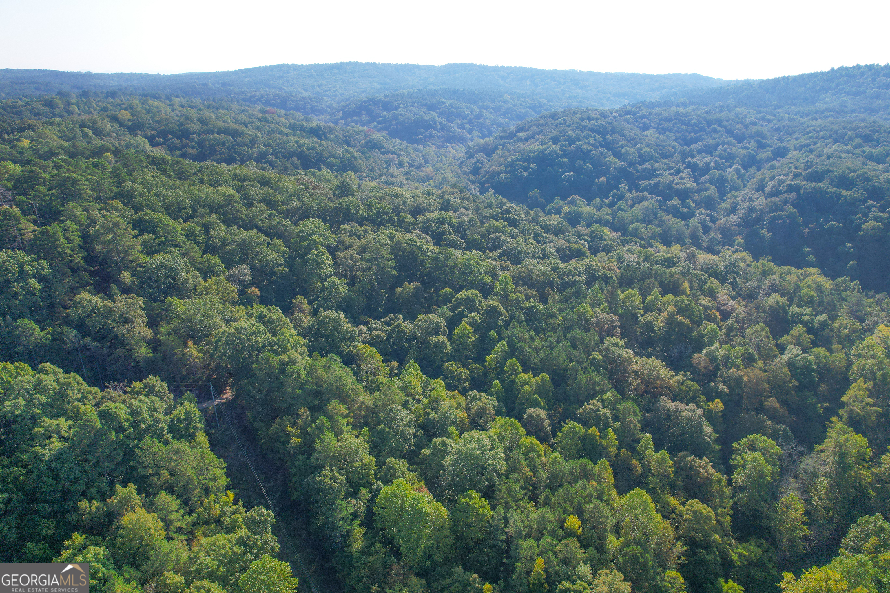 183 Acres On Rambling Road Fairmount, GA 30139 - Photo 7 of 52