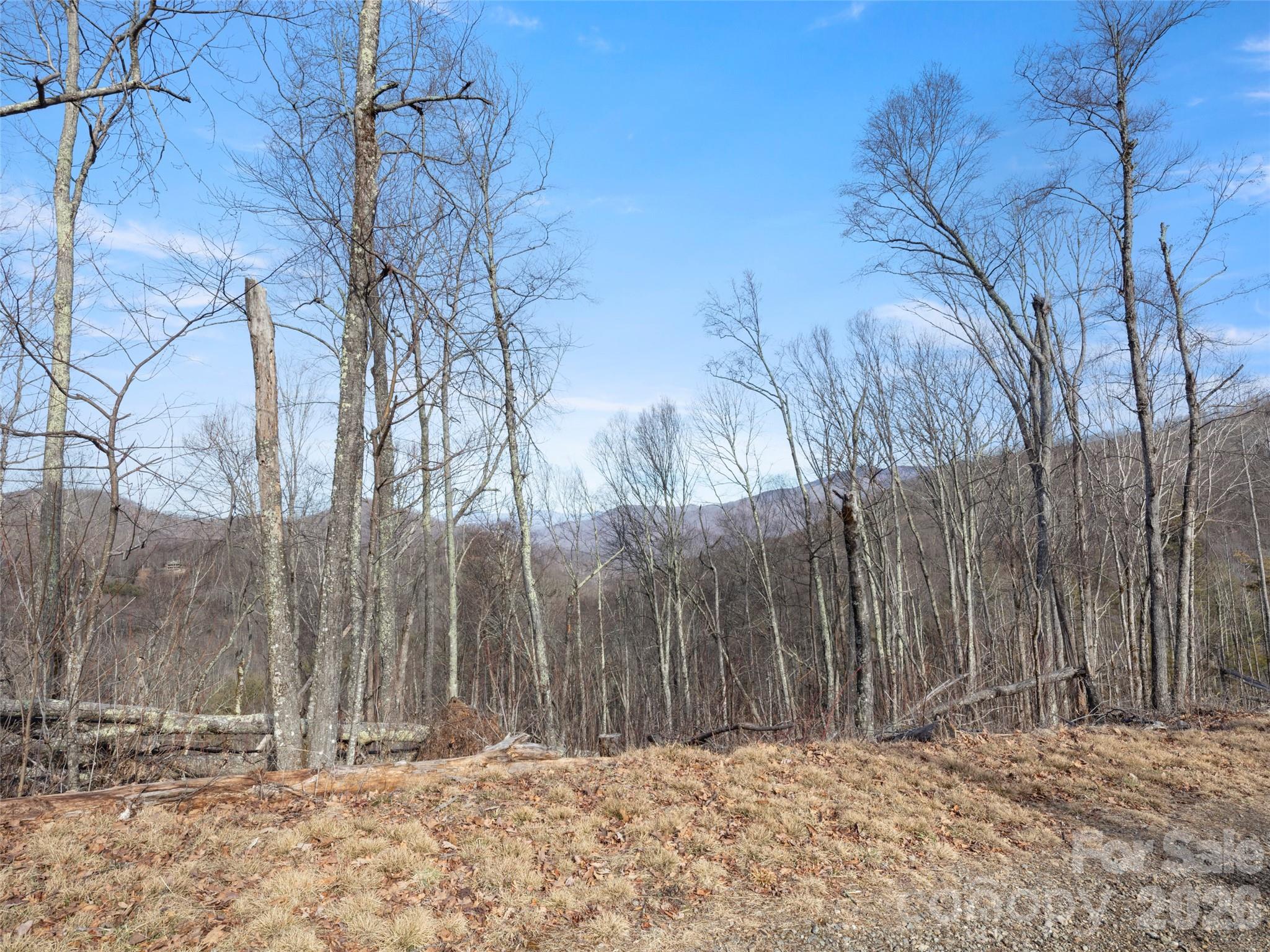 Tbd South Ridgerunner Road Waynesville, NC 28786 - Photo 2 of 8 a view of wooden fence of a house