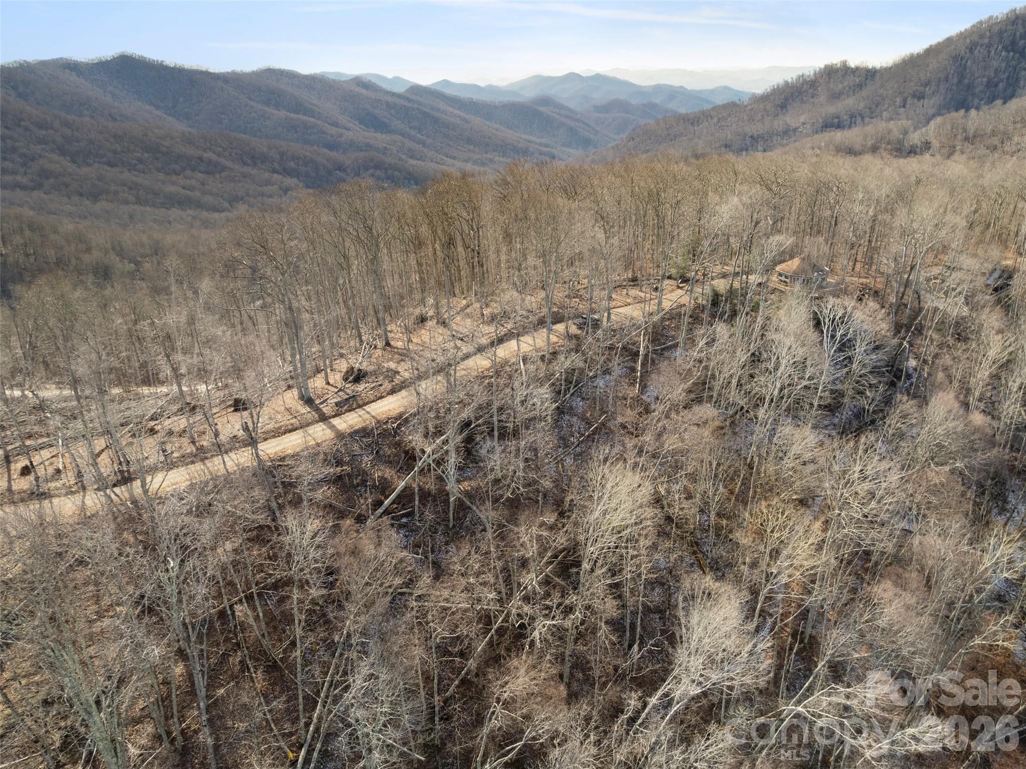 Tbd South Ridgerunner Road Waynesville, NC 28786 - Photo 5 of 8 a view of a forest with mountains in the background