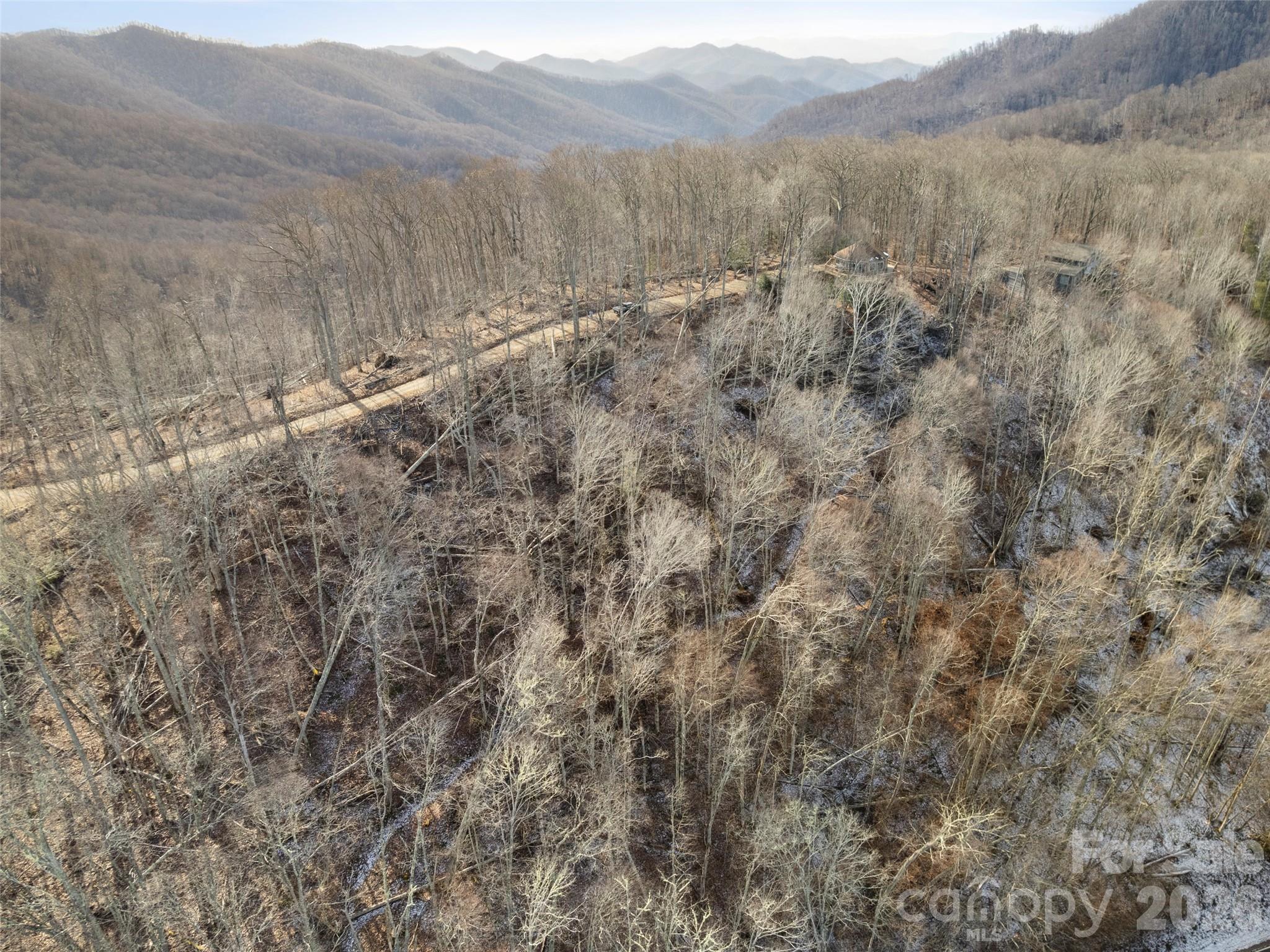 Tbd South Ridgerunner Road Waynesville, NC 28786 - Photo 6 of 8 a view of a forest with mountains and a mountain view