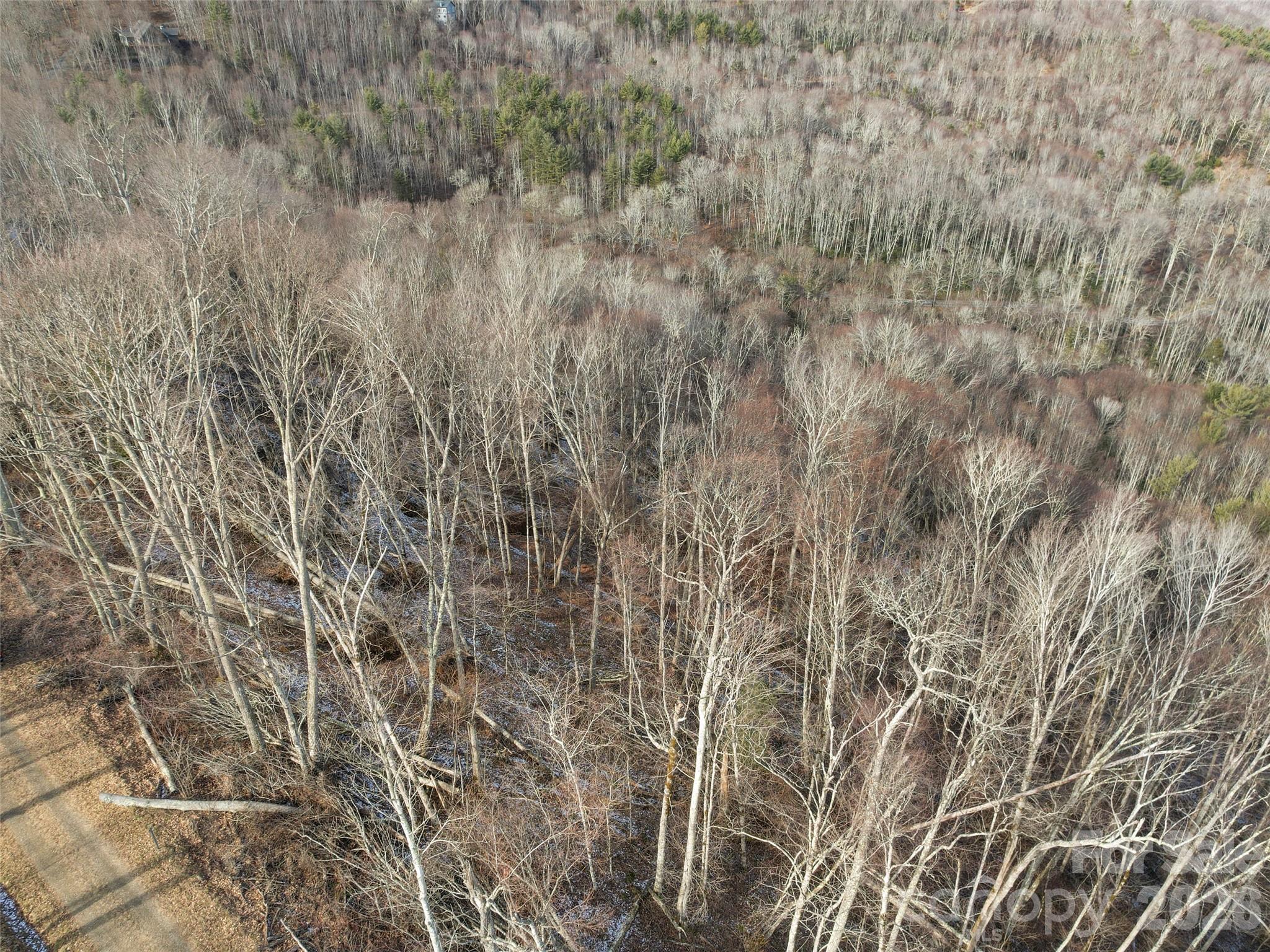 Tbd South Ridgerunner Road Waynesville, NC 28786 - Photo 7 of 8 a view of a yard