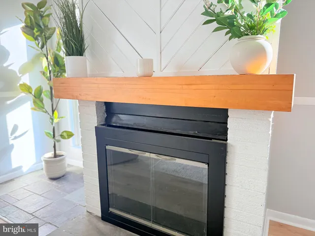 a close view of sink and a potted plant
