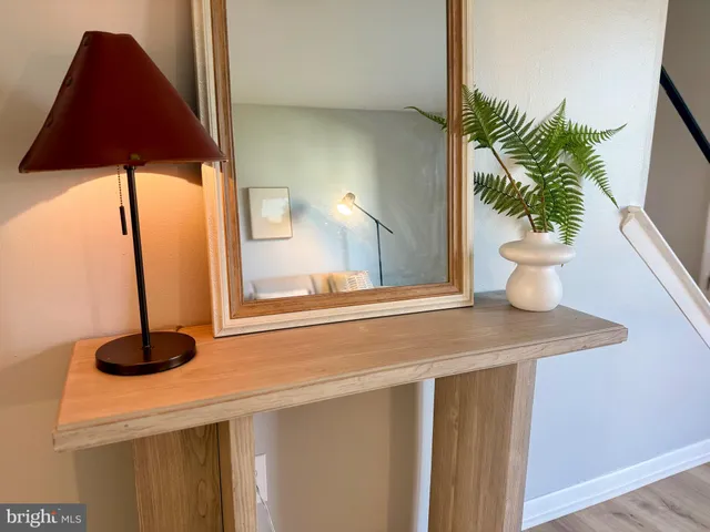a kitchen with a sink and a potted plant