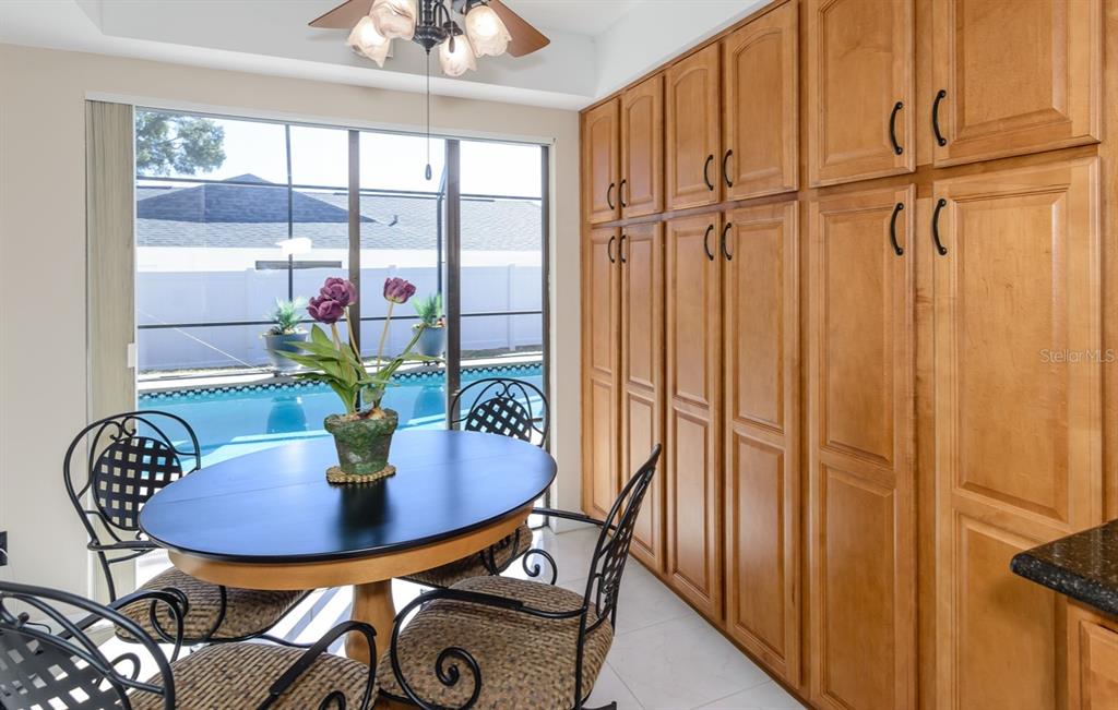 3193 Sandy Ridge Drive Clearwater, FL 33761 - Photo 17 of 66