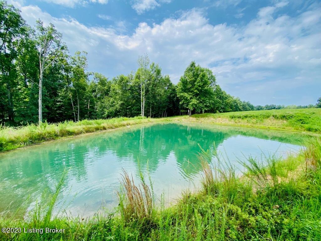 3147 Mayes Creek Road Springfield, KY 40069 - Photo 21 of 34 pond