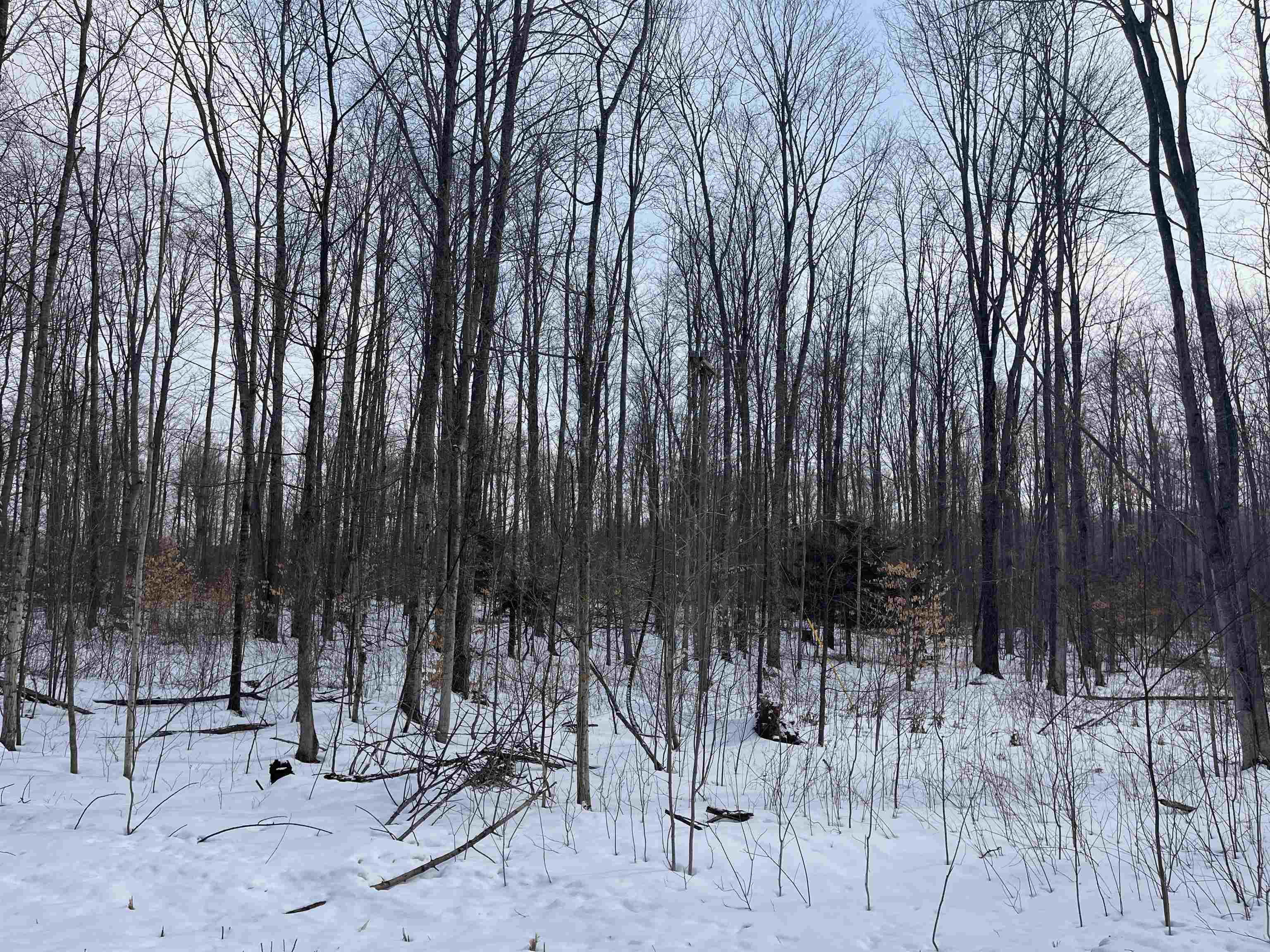 2 King Road, Unit LOT: 2 Benzonia, MI 49616 - Photo 10 of 14