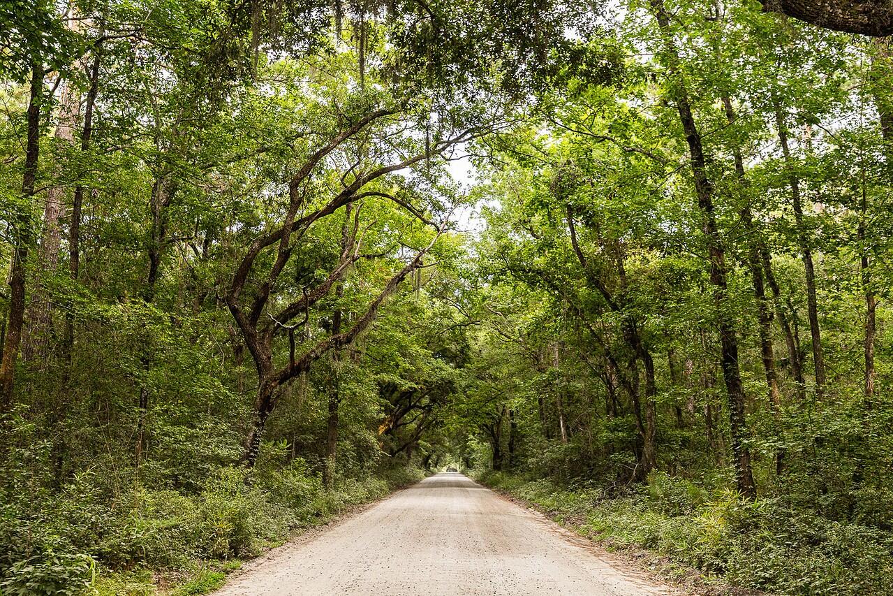 2422 Highway 174 Edisto Island, SC 29438 - Photo 33 of 44 STUNNING OAKS