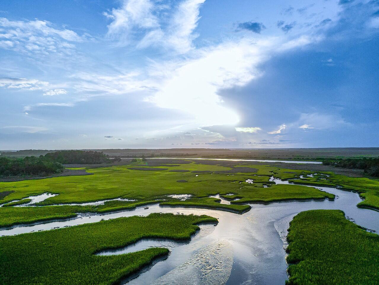2422 Highway 174 Edisto Island, SC 29438 - Photo 36 of 44 BOTANY BAY