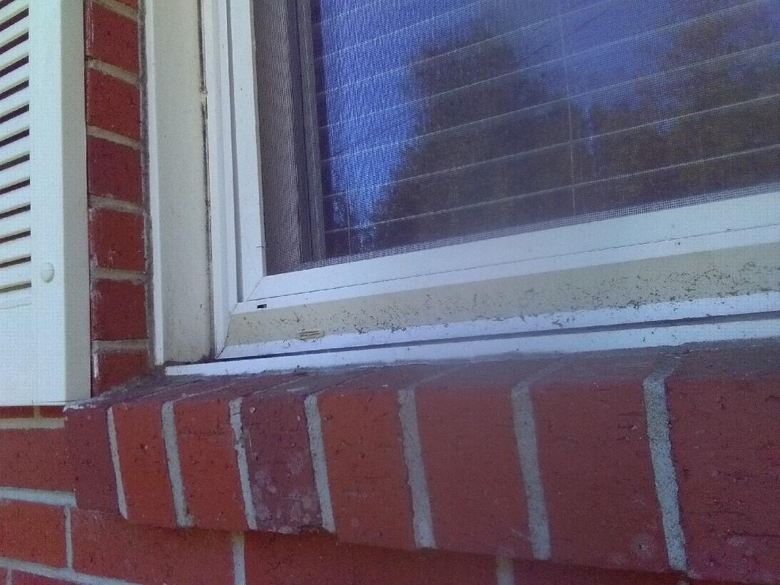 2422 Highway 174 Edisto Island, SC 29438 - Photo 39 of 44 ALUMINUM TRIM VINYL SHUTTERS