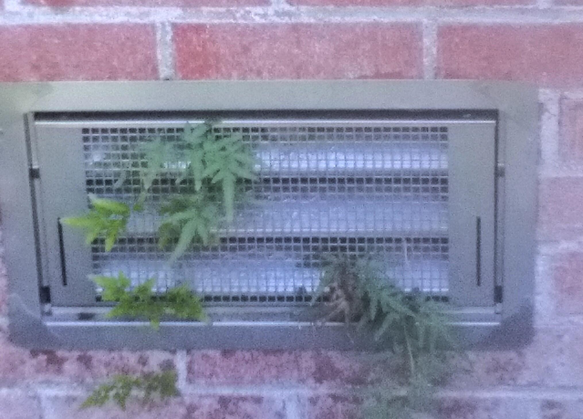 2422 Highway 174 Edisto Island, SC 29438 - Photo 40 of 44 STAINLESS CRAWLSPACE VENTS